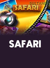 Safari icon
